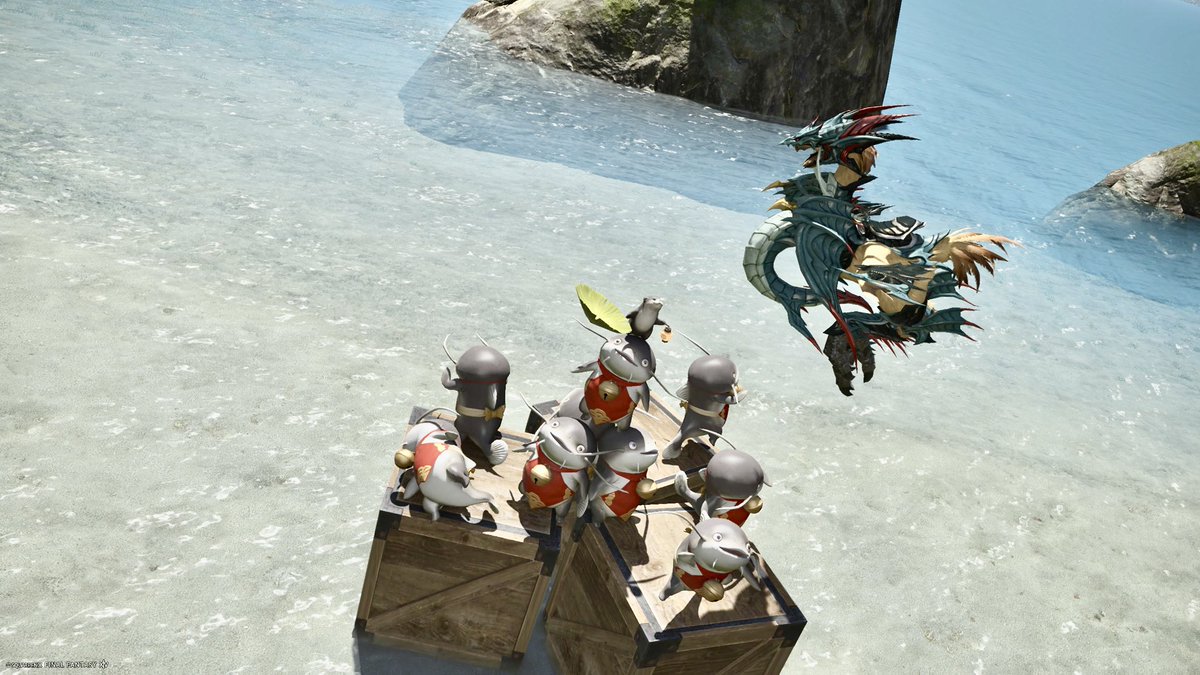 まめまめ tweet media