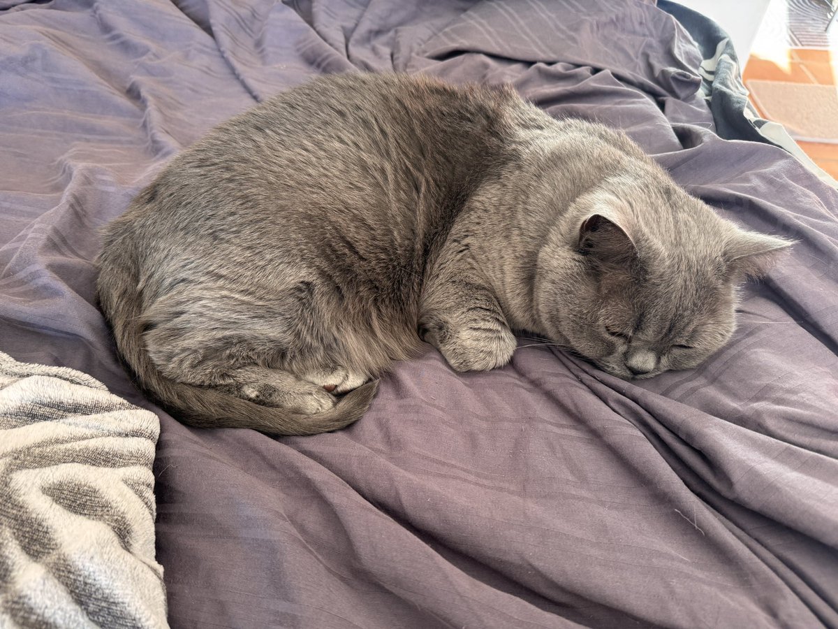 Dolly and Tali tweet media