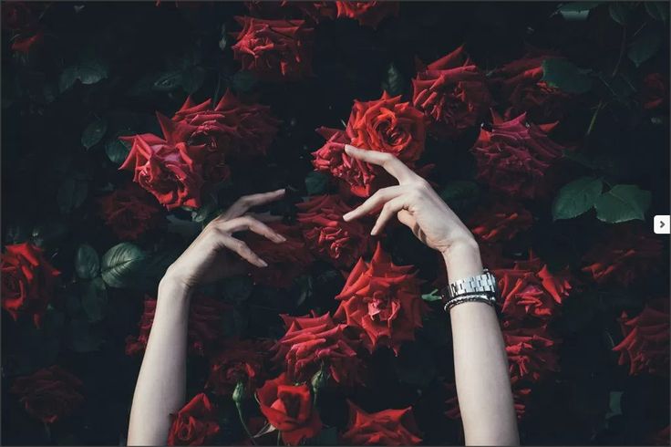 “Soy ese tipo de mujer… que se rompe en silencio y florece en secreto.” 🖤🌹✨