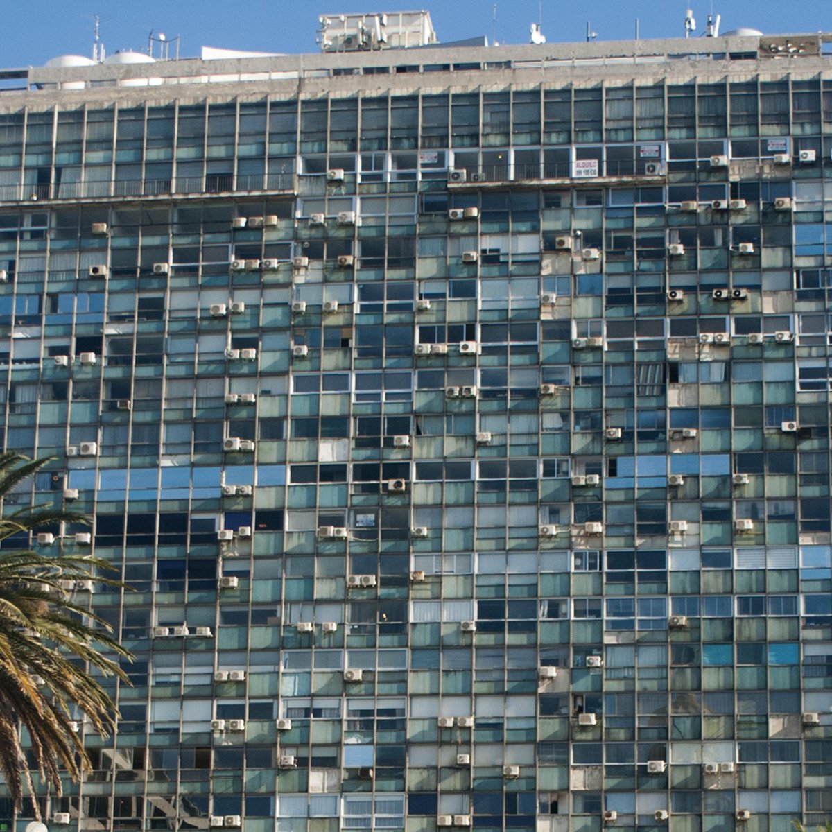 Fernando Paganini tweet media