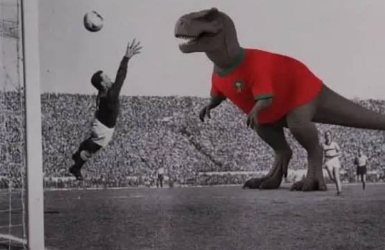 95🇩🇿 tweet media