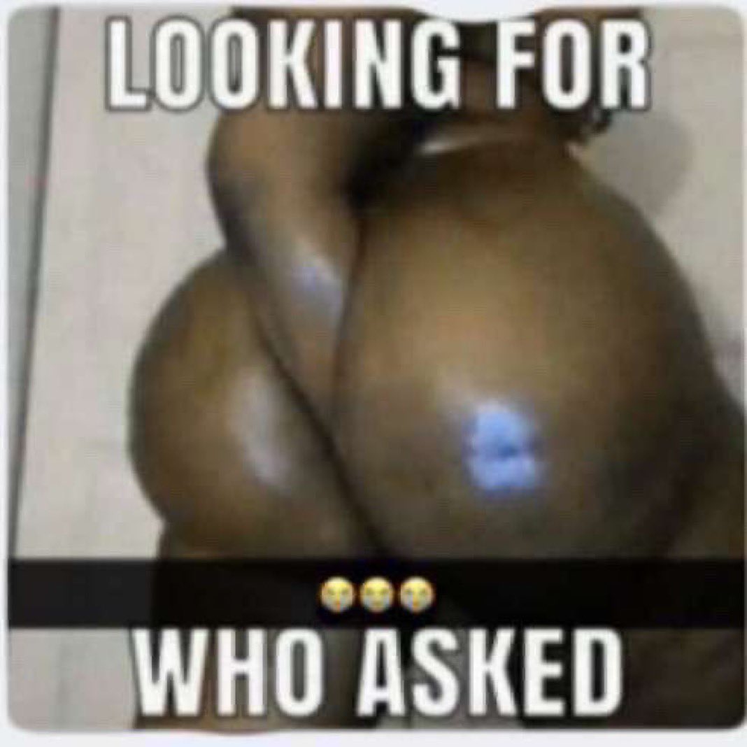 HolonoloH tweet media