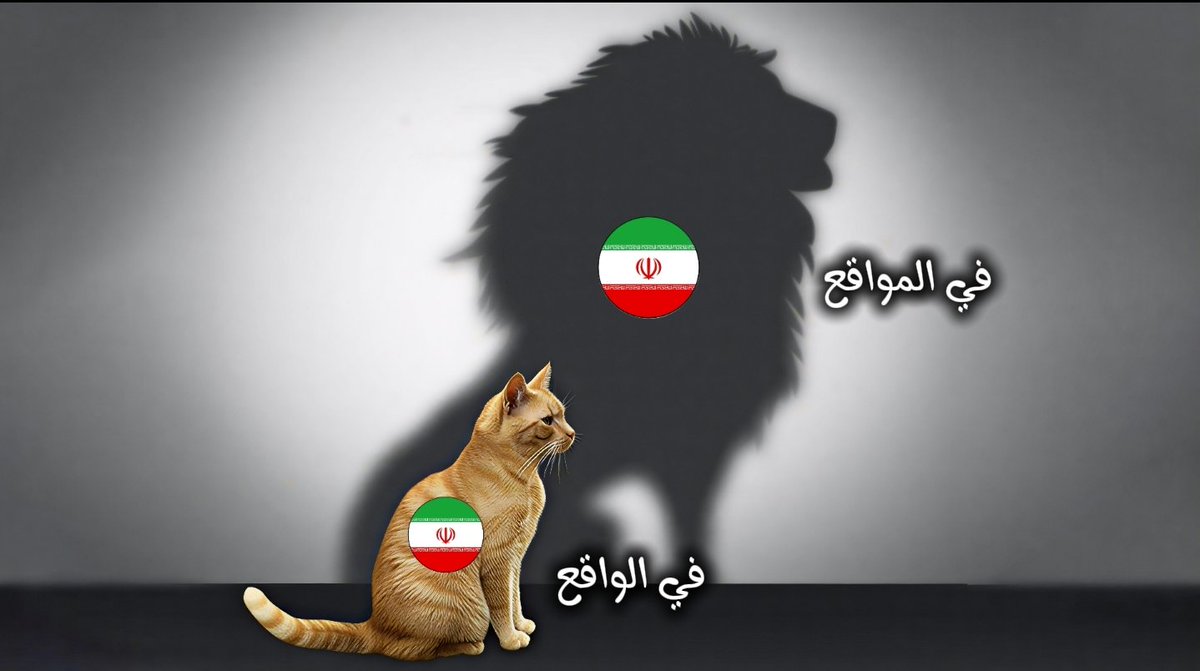 ye8ye9's tweet photo. @Mojtahed_najran https://t.co/ezSp5P6Fgn