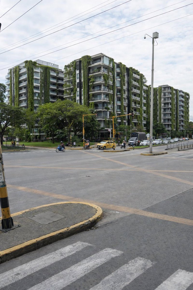 Juan Martín Bravo C. tweet media