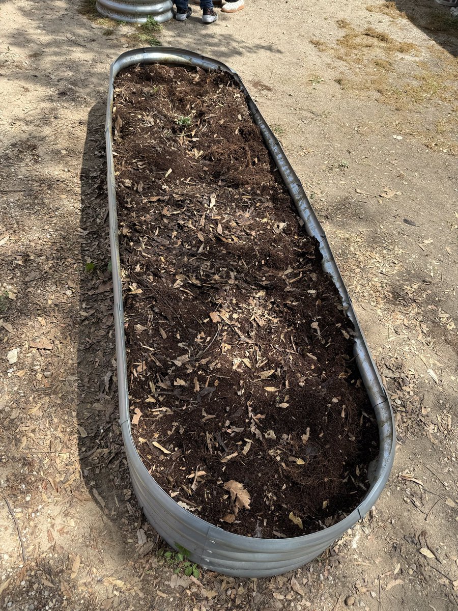 ❤️ Mrs. R teaches Pre-K tweet media