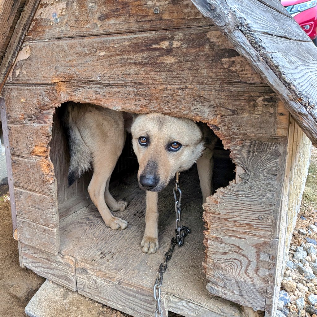 乳母車の弥七 tweet media