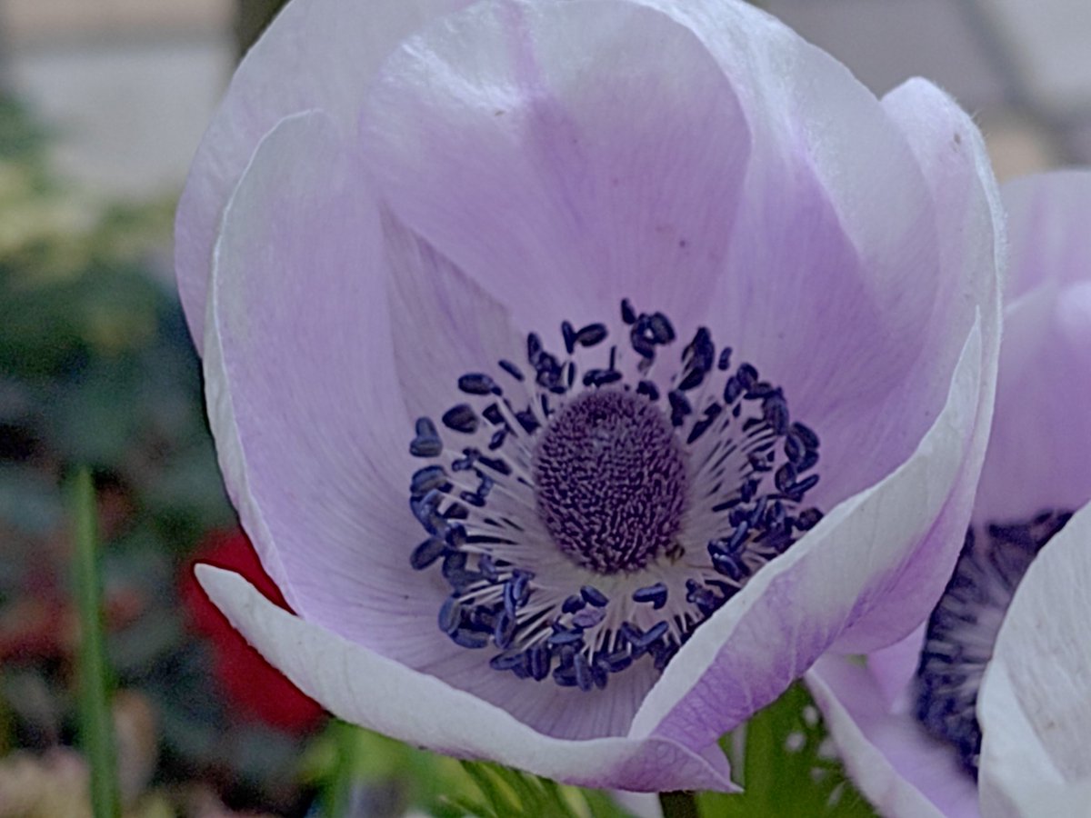 まるめ tweet media