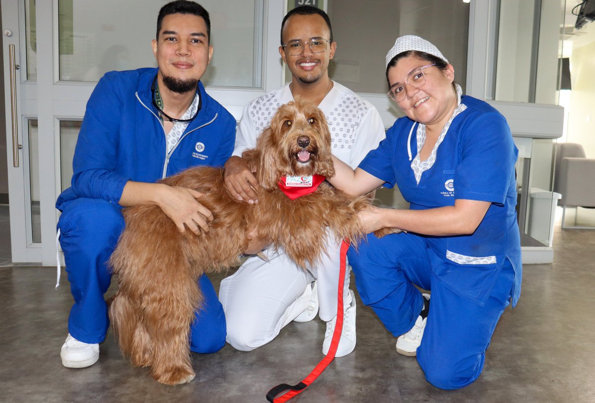 Clínica de Occidente Cali tweet media