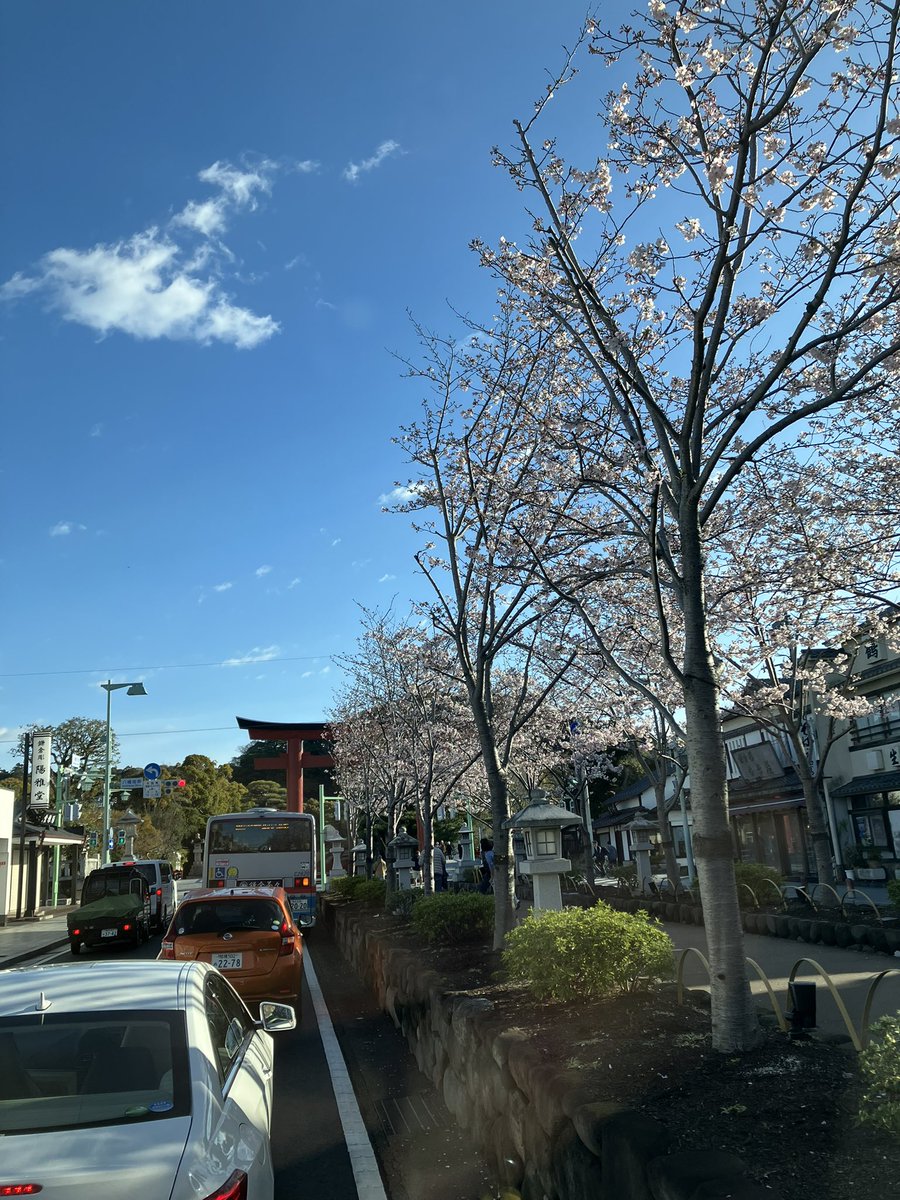 ゆすけ tweet media