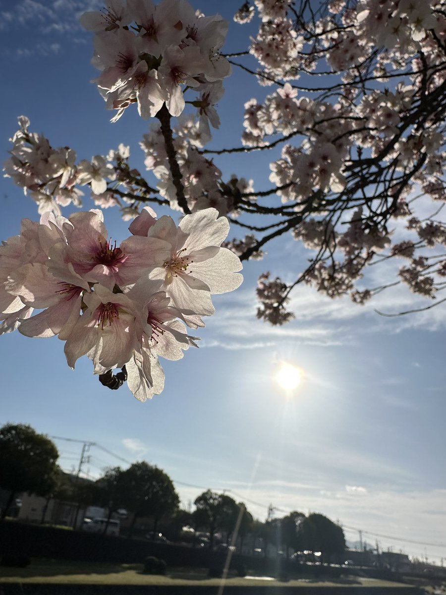ばしょく おもたん_4/18丹沢ボッカチャレンジ（タイムアタック） tweet media