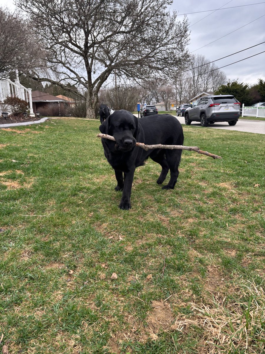 Eric Hecker tweet media