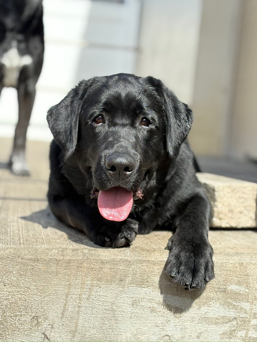 Eric Hecker tweet media