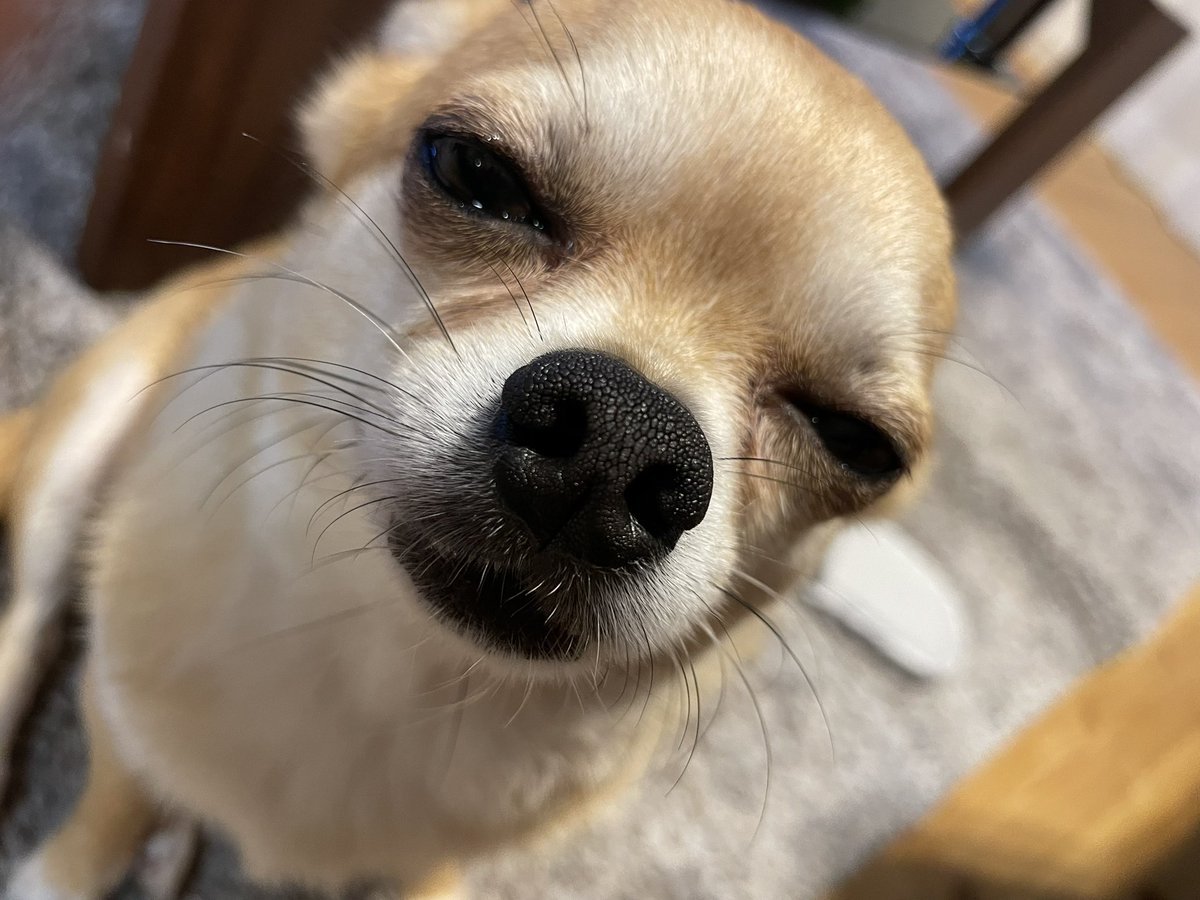 みんた tweet media