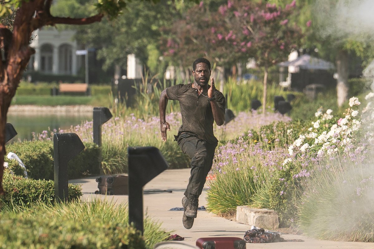 Paradise tweet media