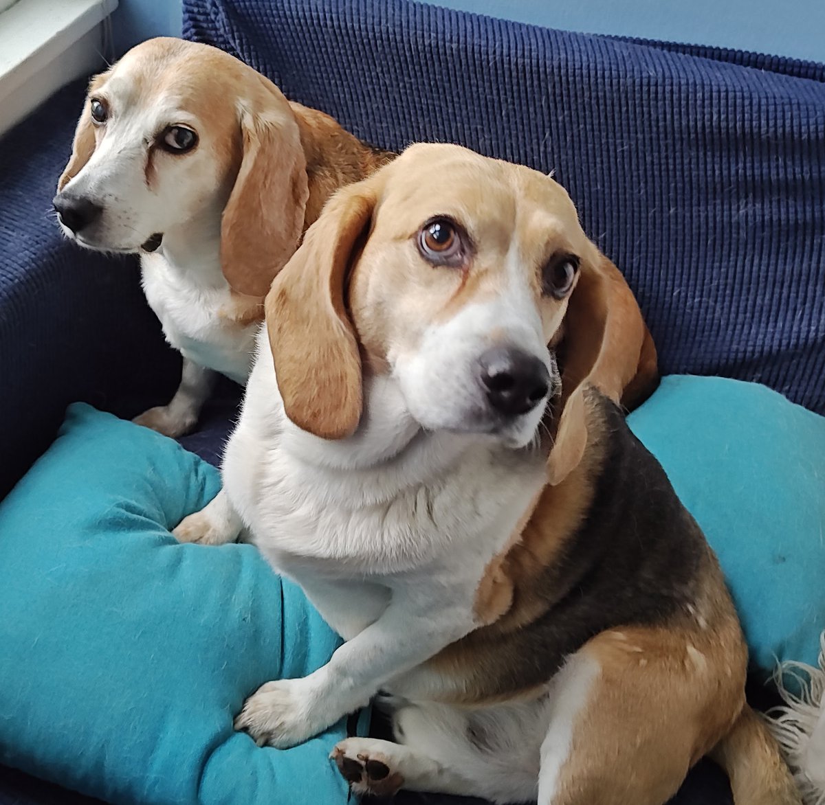 Ferguson y Jasper tweet media