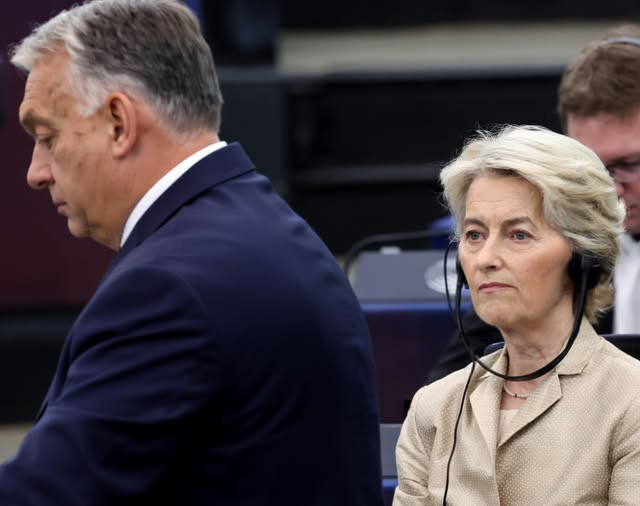 SILBER-FRAU tweet media