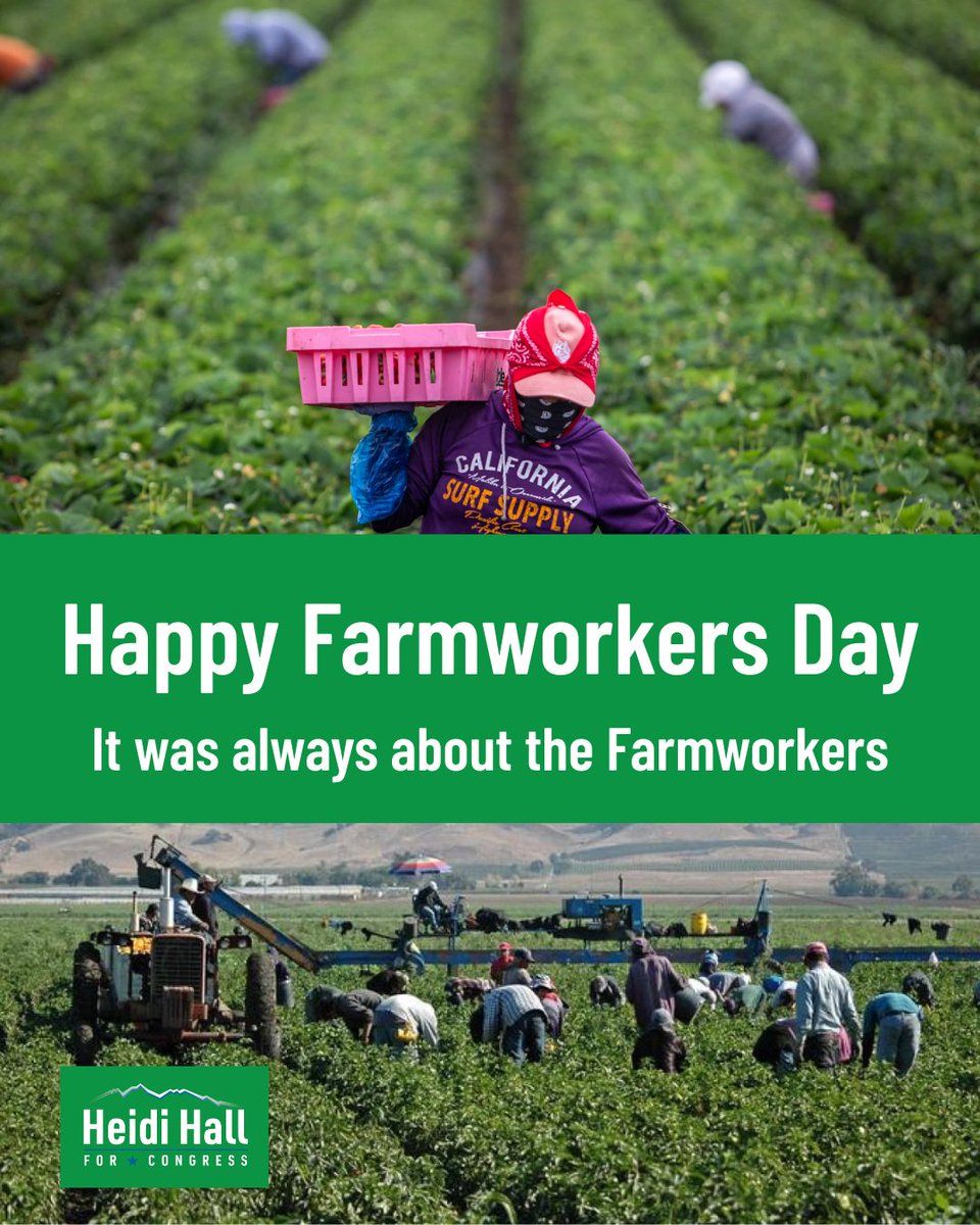 Heidi Hall tweet media