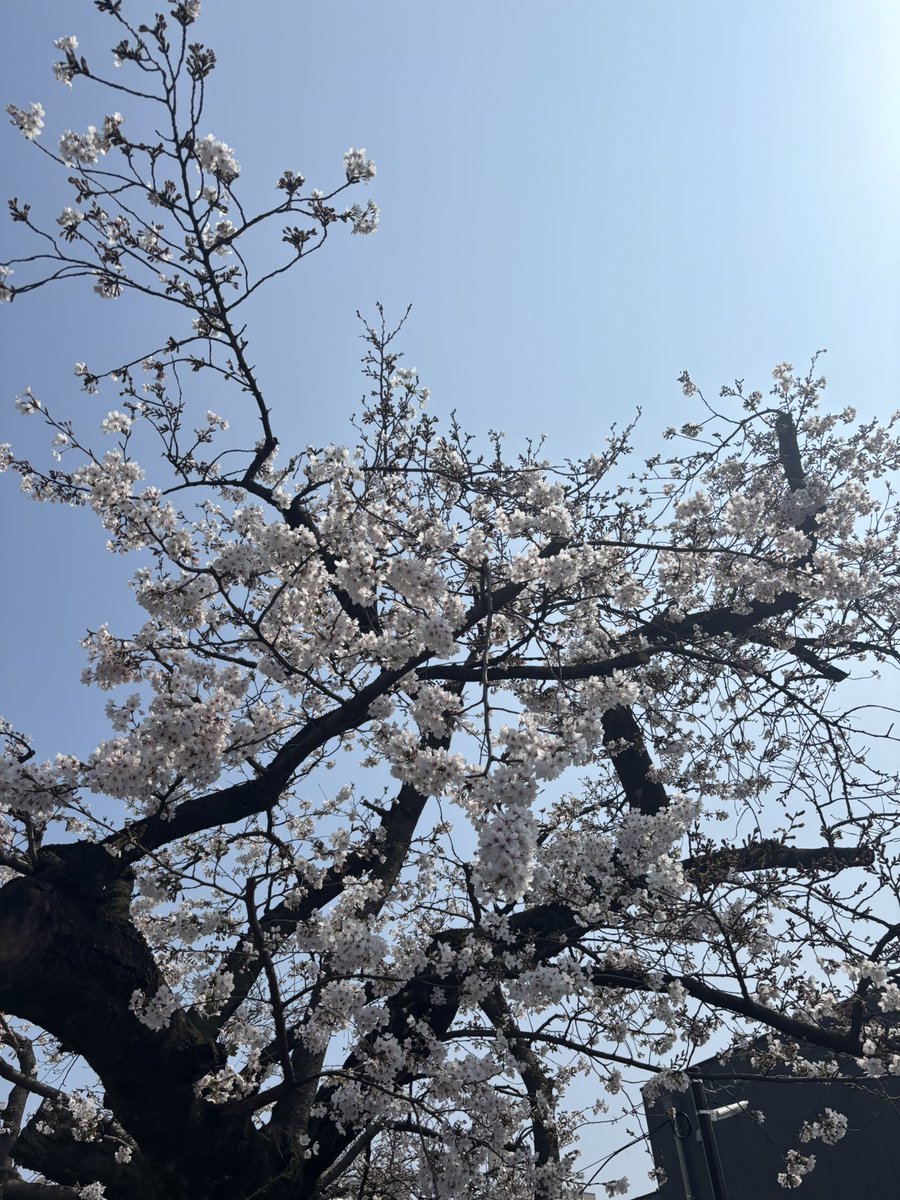 おでーやん（おでーさん） tweet media