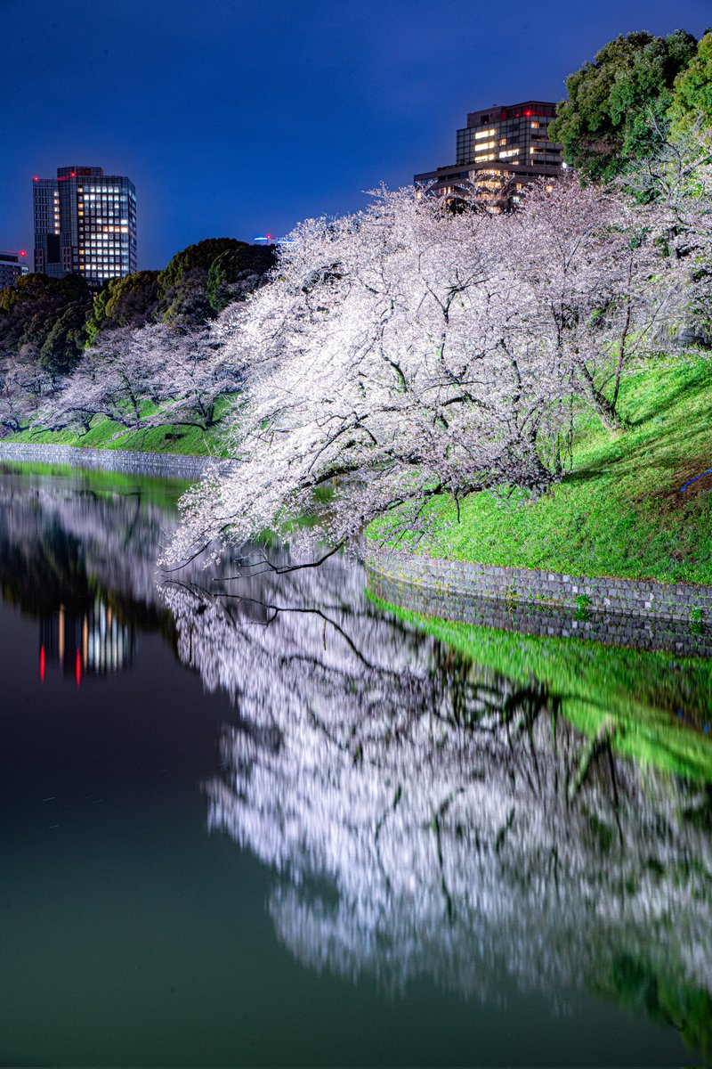 ハスカップ07 tweet media