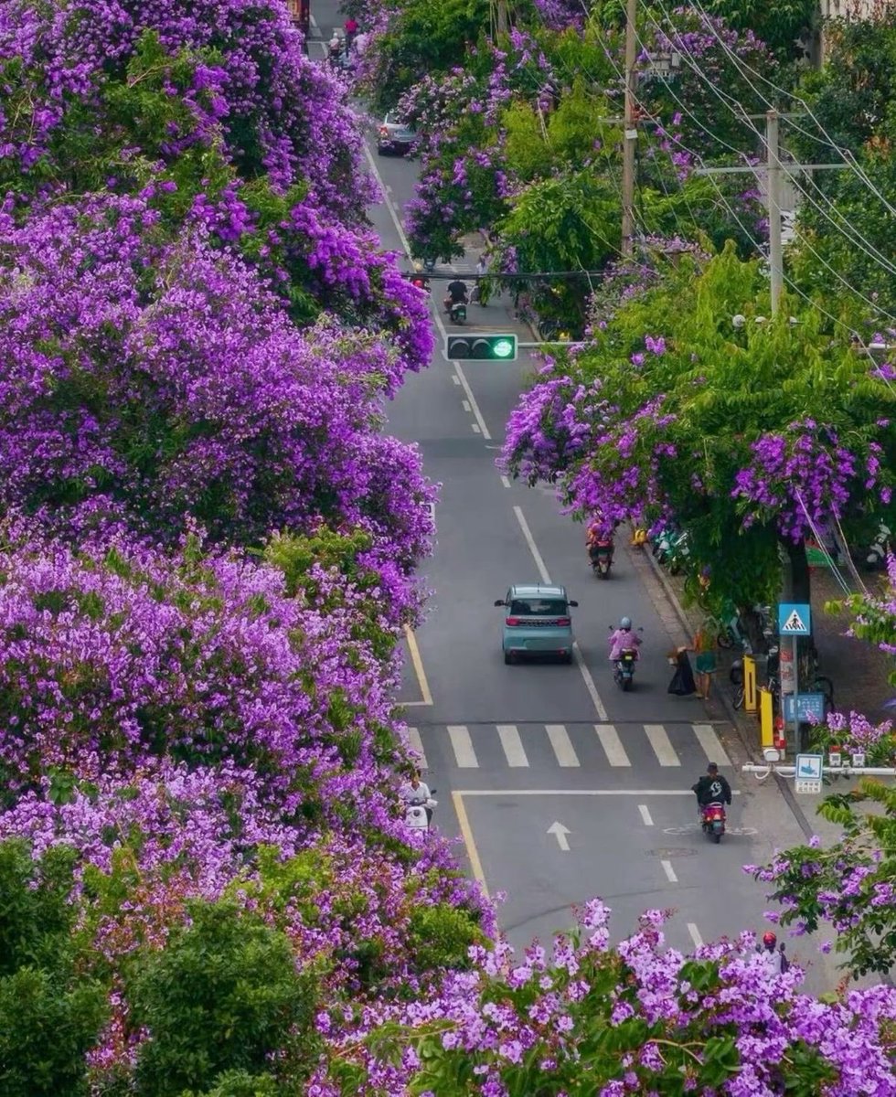 lilyavibe's tweet photo. USA 🇺🇸 https://t.co/CEN0KUtKo7
