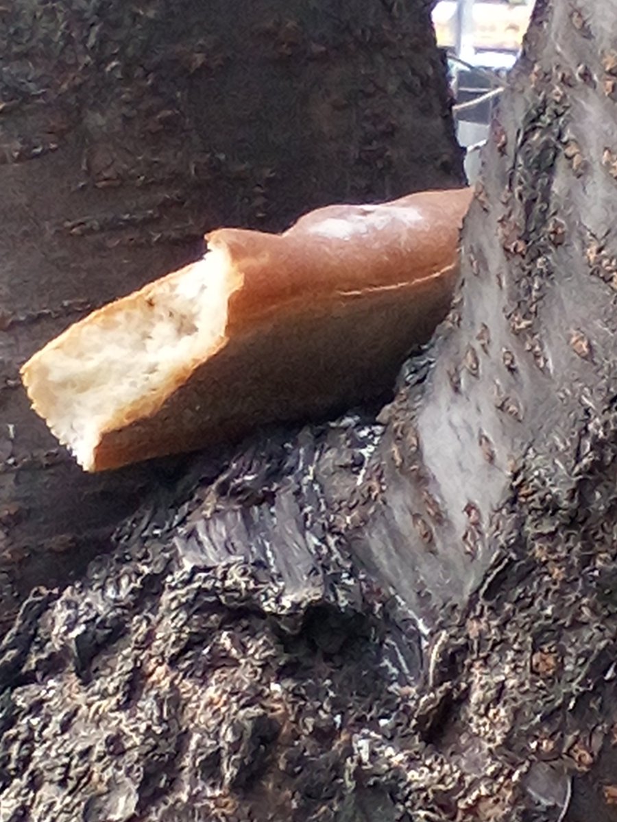 azucar langley 🥞 tweet media