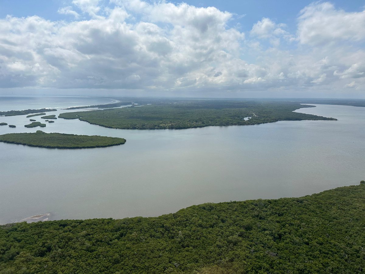 SEMARNAT México tweet media