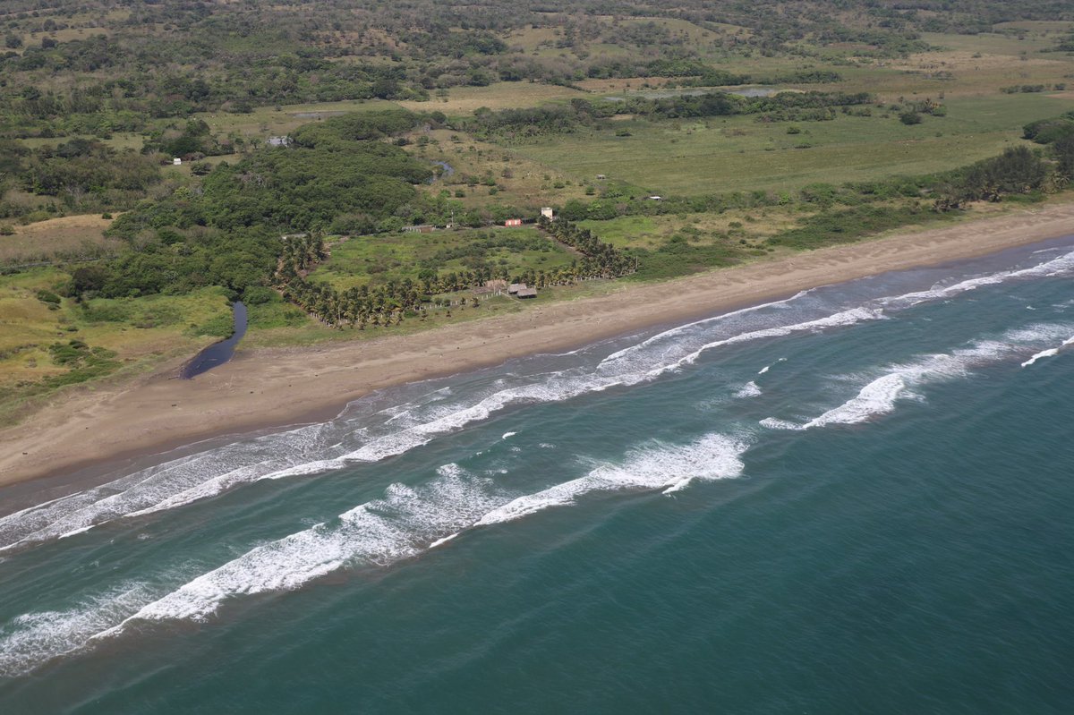 SEMARNAT México tweet media