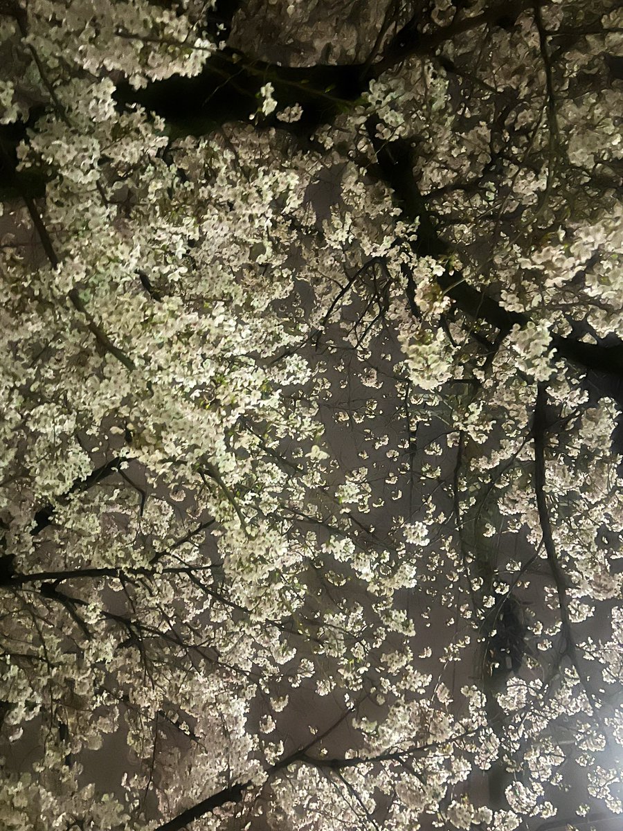 矢田弥勒 tweet media