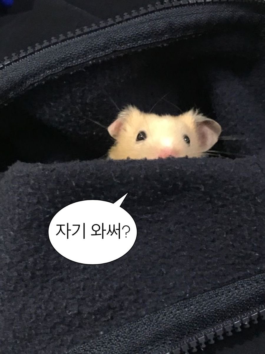 doyou_2u's tweet photo. 곤쥬들 군모닝🤍
오늘 미세먼지도 없고 날씨 엄청 좋은데
이따가 점심먹고 산책도 한번 해볼까??

쫀하루보내쟈 히히
만우절인데 재밌는 장난 생각한거 있어? https://t.co/xelgdY7iDB