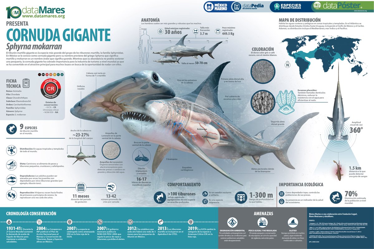 dataMares tweet media