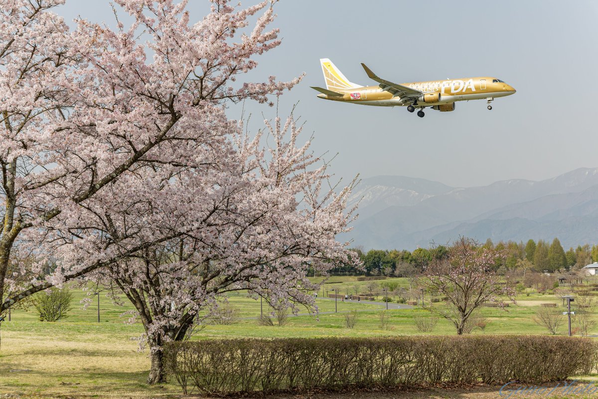 shibuentry8's tweet image. #2025年度を写真4枚で振り返る

印象に残るのは、やはりFDA😍

#FDA 
#フジドリームエアラインズ 
#FDAファンクラブ 
#信州まつもと空港