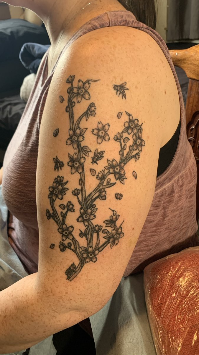 emeraldxink's tweet photo. update🐝 https://t.co/4Xs9suxhcq