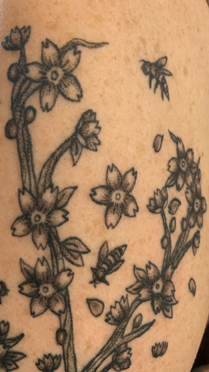 emeraldxink's tweet photo. update🐝 https://t.co/4Xs9suxhcq
