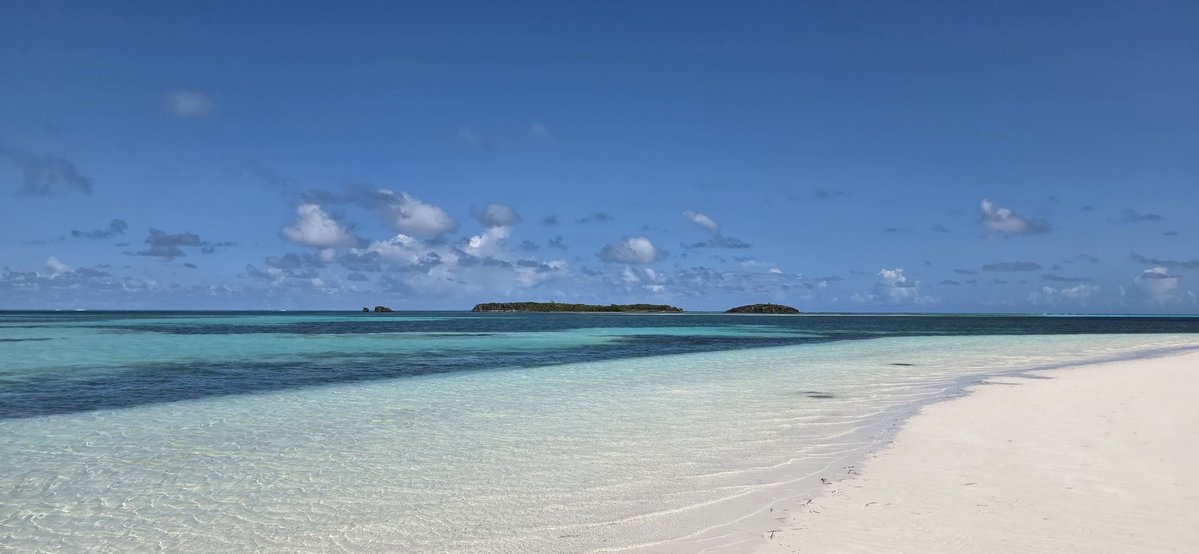 talldarkhand tweet media