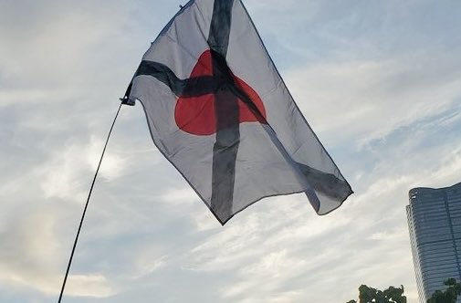 ちゃんほた🌸 tweet media