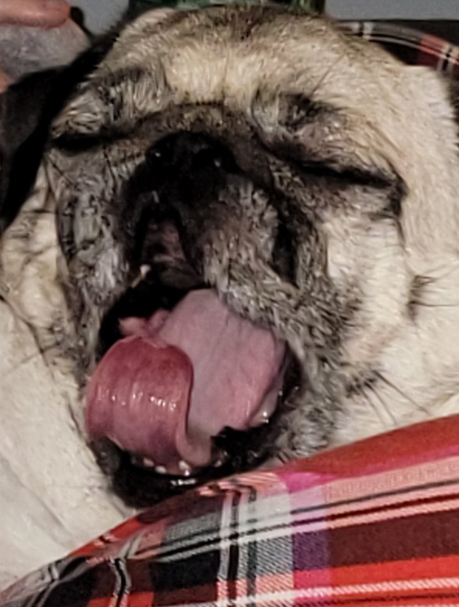 💗ANGELSARAH💗 S&O🍊 tweet media