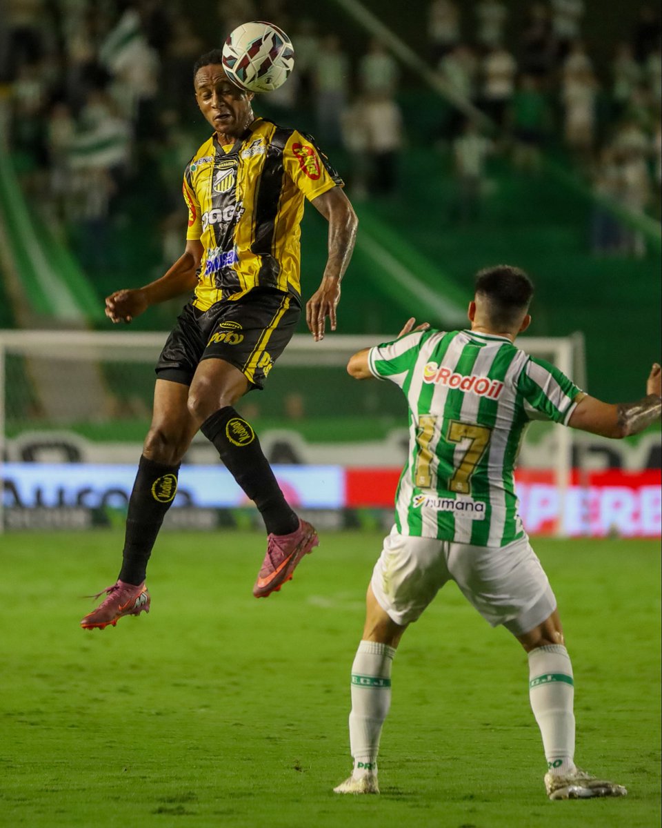 Grêmio Novorizontino SAF tweet media