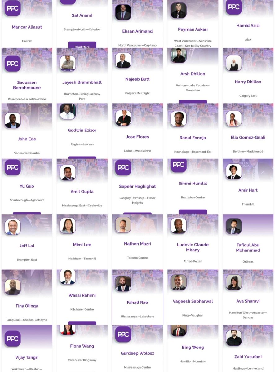 Quinn 🍁 tweet media