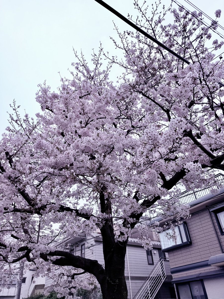 髙橋忠志　takahashi tadashi tweet media