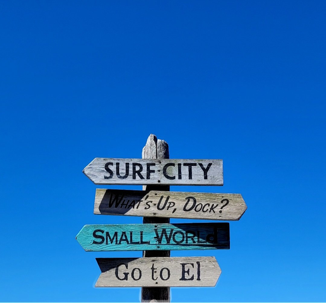 SusanInSeattle 🌸 💕🌸 tweet media