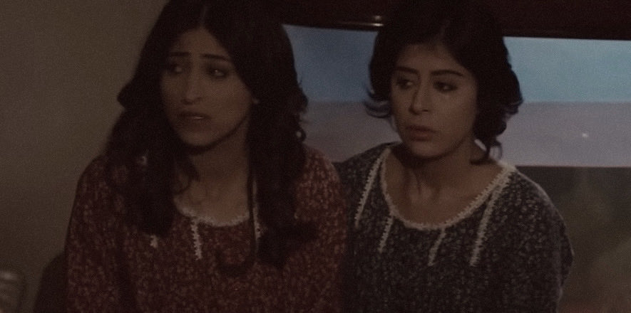 شوشو tweet media