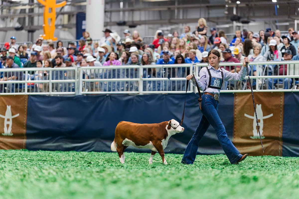 RODEOHOUSTON tweet media