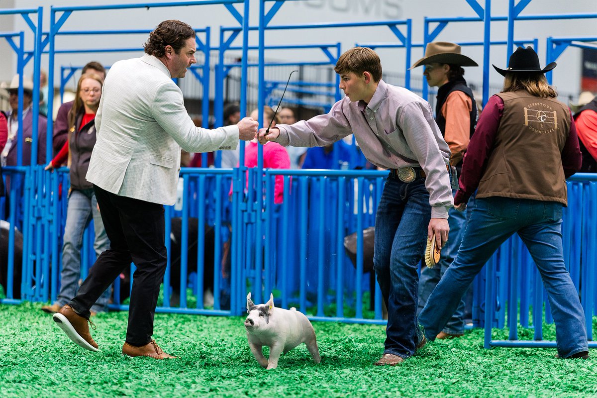 RODEOHOUSTON tweet media