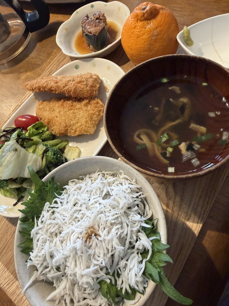 青猿(スペゴリともいう) tweet media