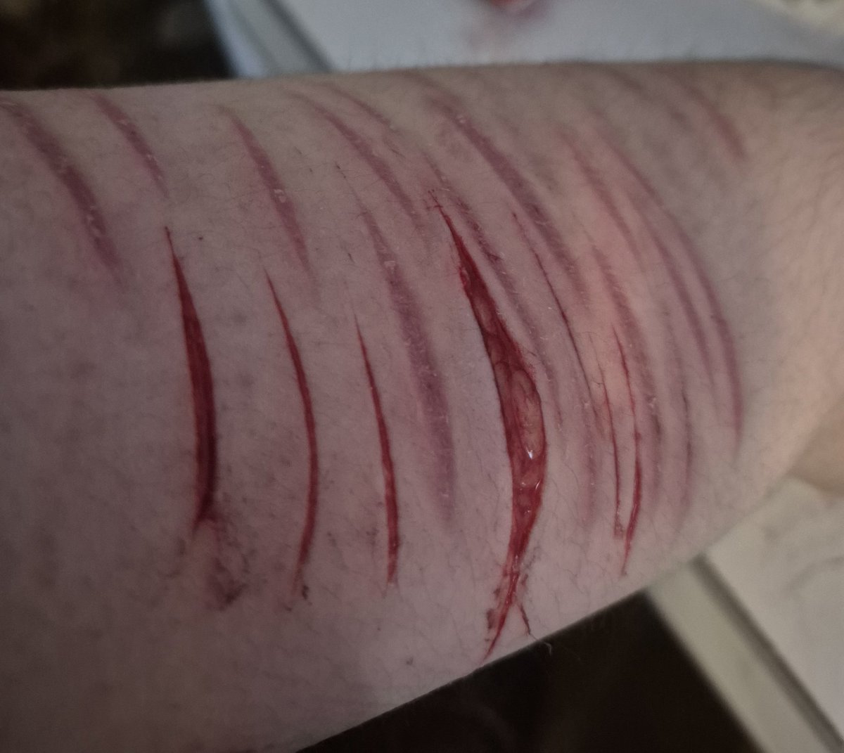 › . 🪡 Nɩƒƒt͟ყノof shtwt . tweet media