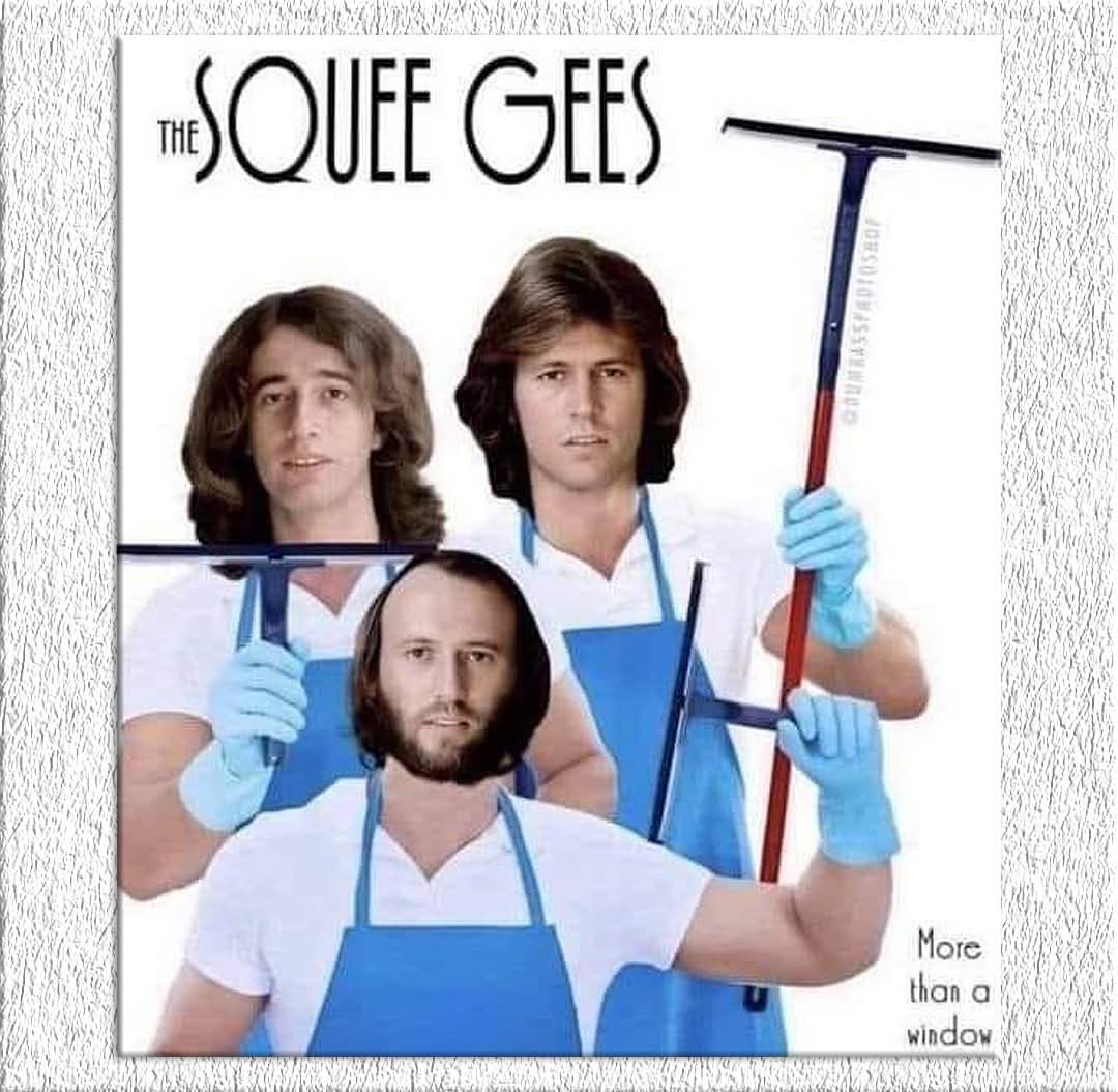 Mike Mills 🐝 tweet media