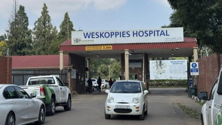 Maitse Moloi ® tweet media