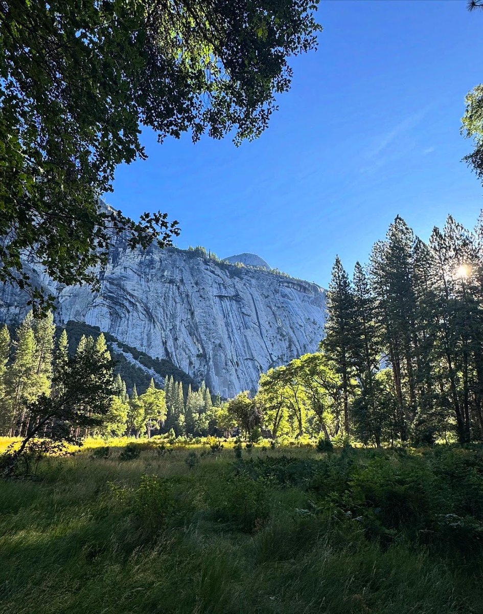 peakcomdlol's tweet photo. Yosemite National Park https://t.co/DZgTeUeu2B