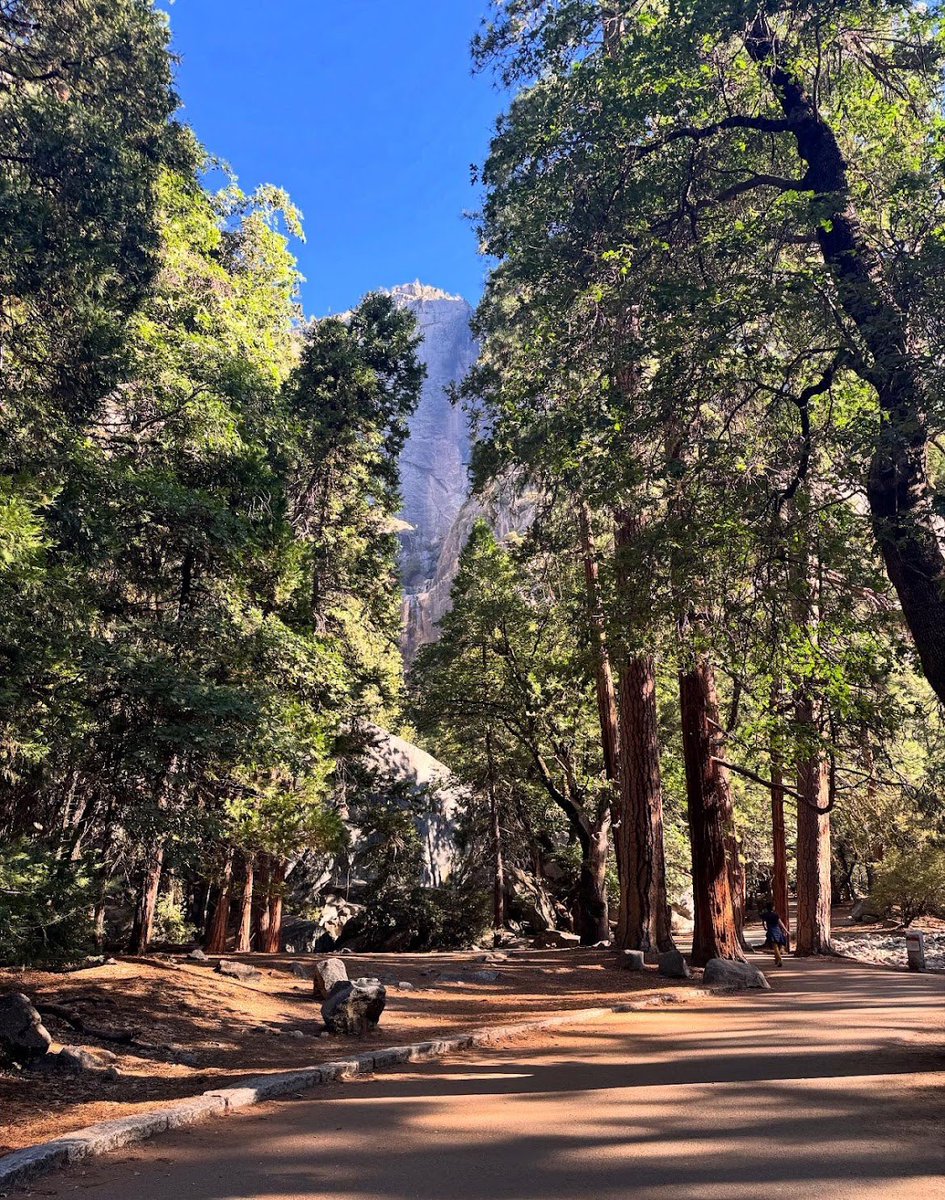 peakcomdlol's tweet photo. Yosemite National Park https://t.co/DZgTeUeu2B