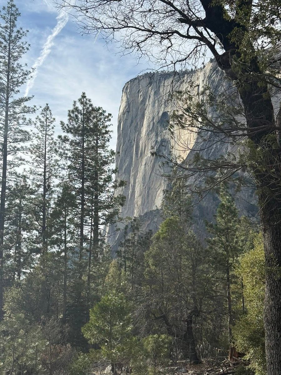 peakcomdlol's tweet photo. Yosemite National Park https://t.co/DZgTeUeu2B